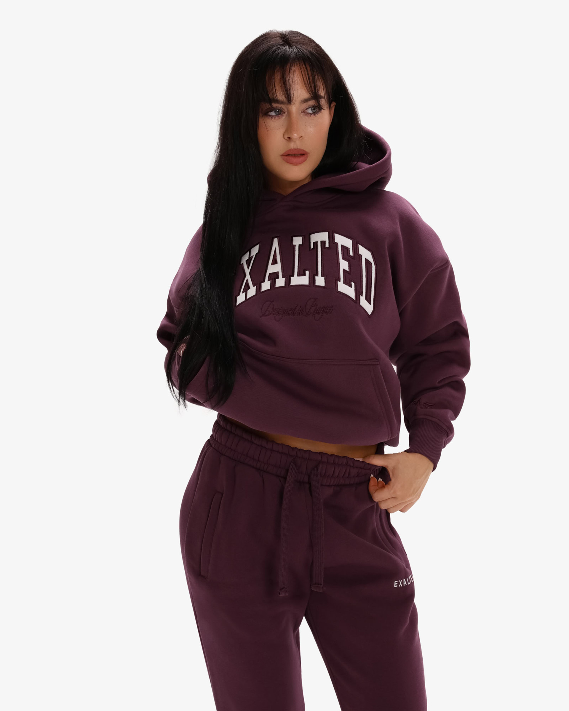Comfy-Nest™ ICON Hoodie