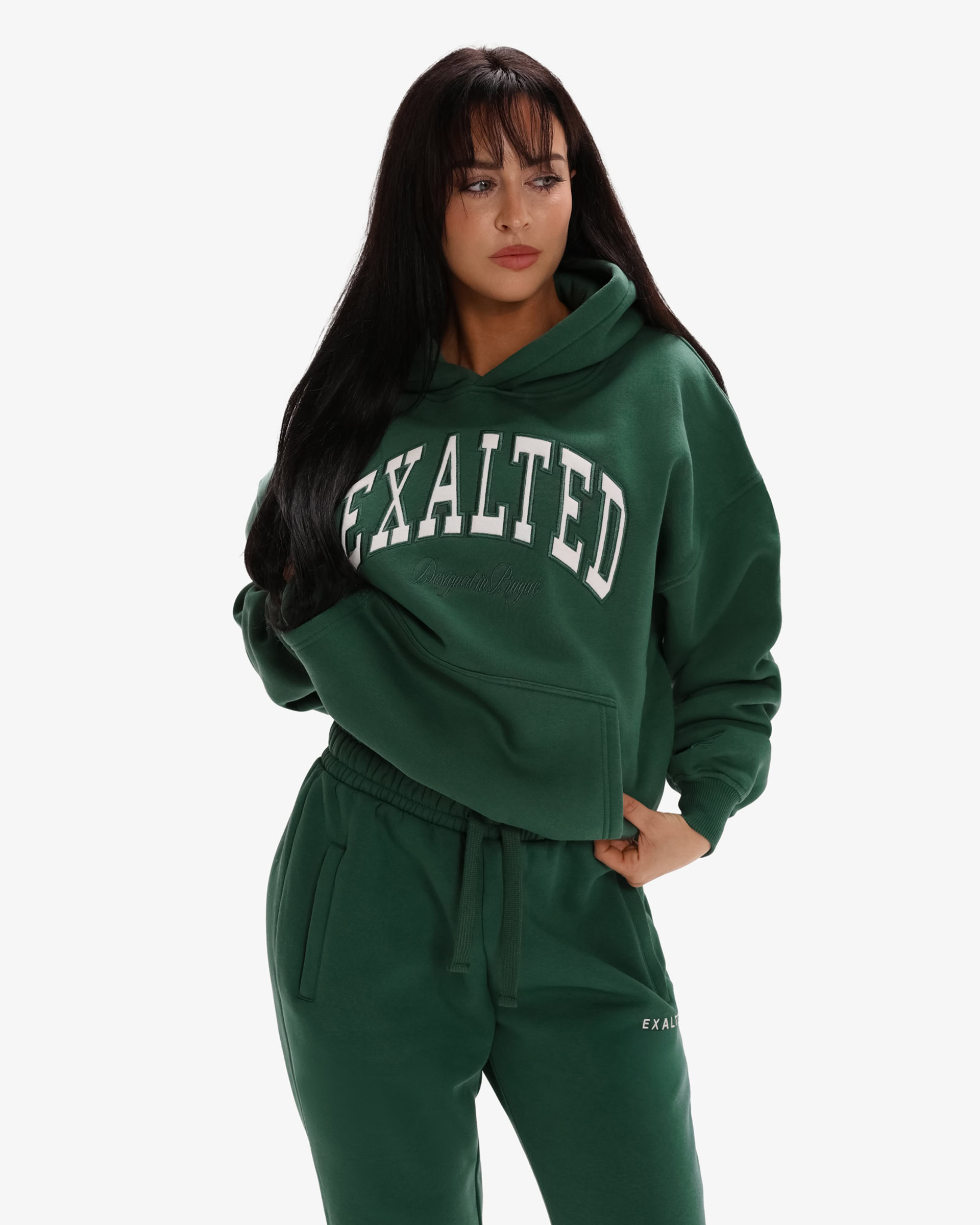 Comfy-Nest™ ICON Hoodie