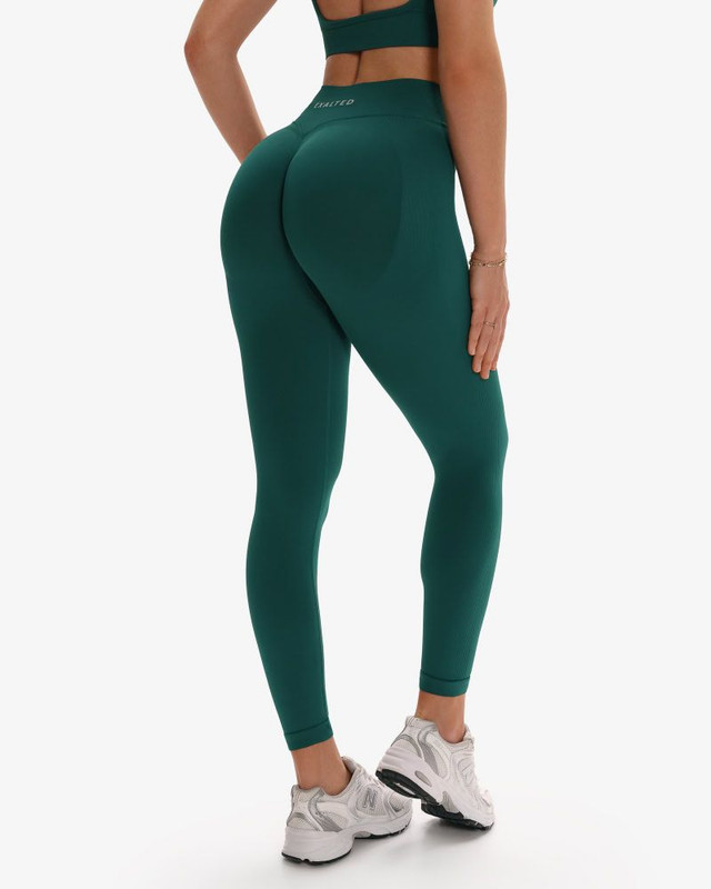 Eon Seamless Leggings 2.0