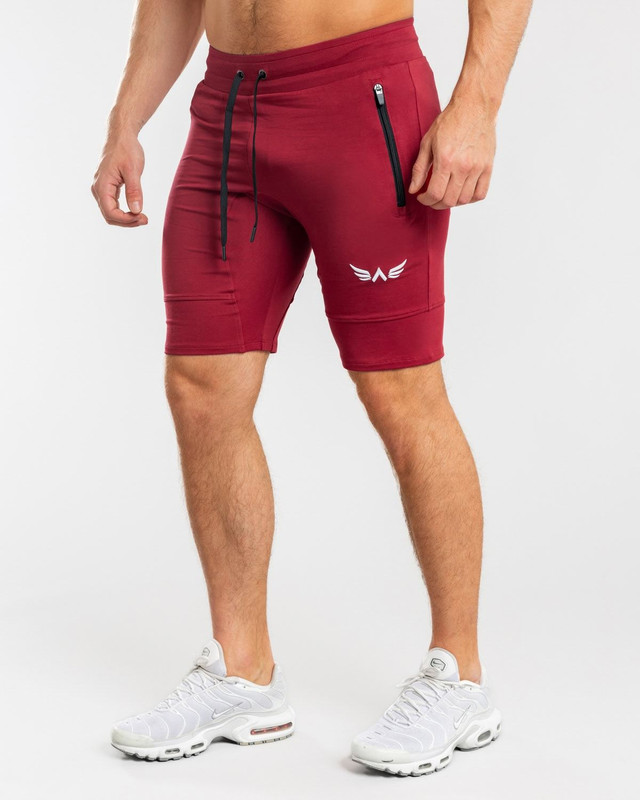 Men's Shorts X1 2.0